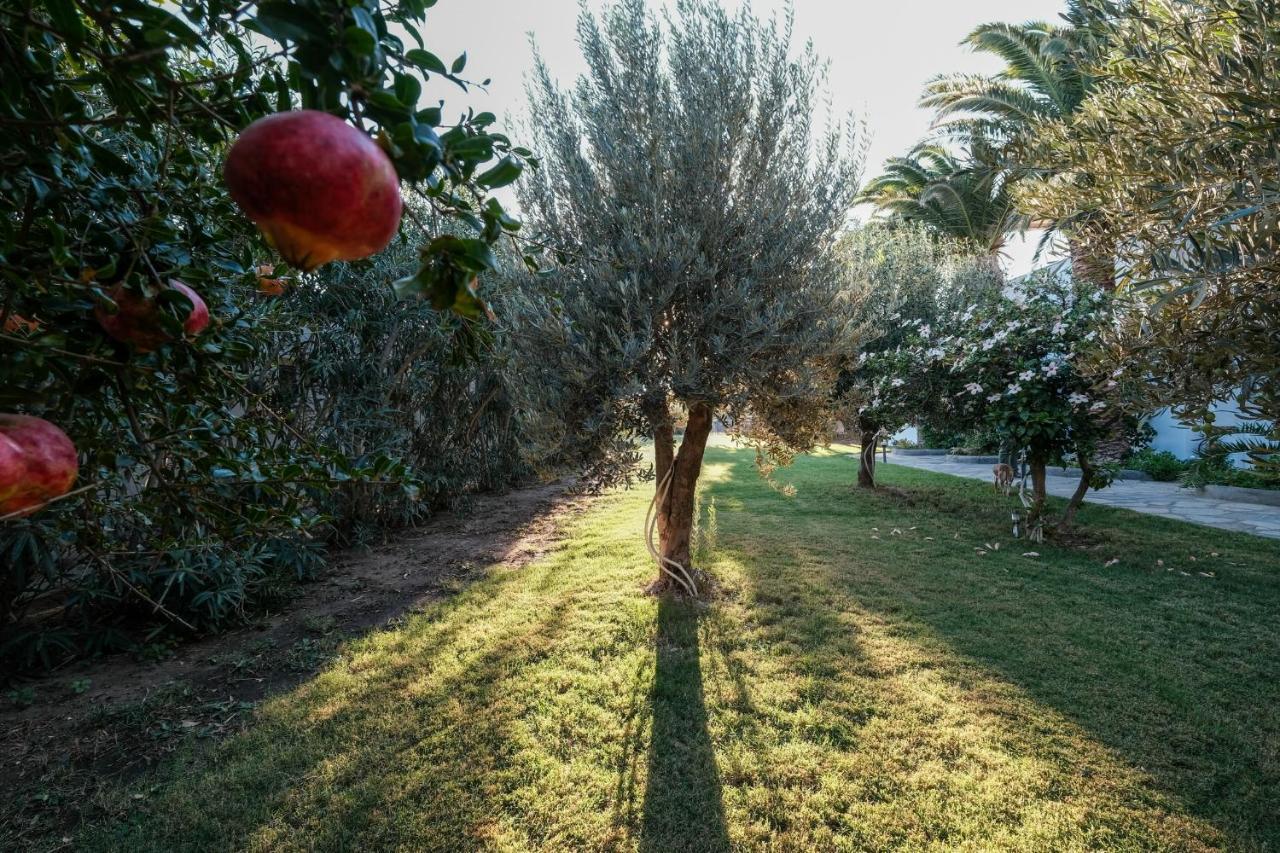 Golden Beach Studios & Suites Tinos Exterior photo