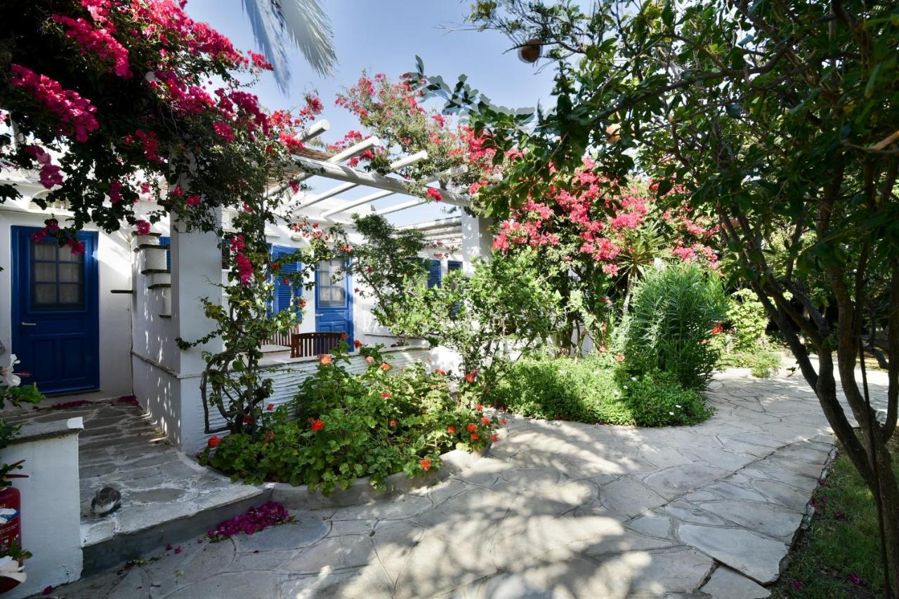 Golden Beach Studios & Suites Tinos Exterior photo